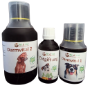 Entgiftungskur für Hunde